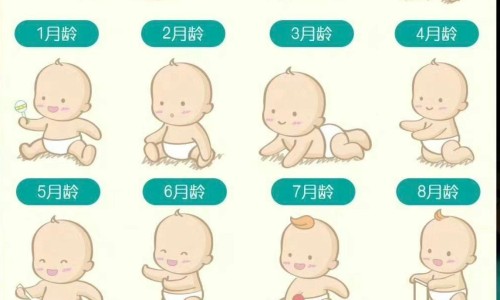 怀疑有胸腰椎骨折的病人网怀疑有胸腰椎骨折的病人怎么搬运知识网站,分享腰胸椎压缩性骨折会恢复好吗大全