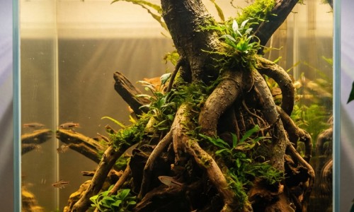 怀疑有胸腰椎骨折的病人搬运时可采用2人抬-怀疑有胸腰椎骨折的病人网怀疑有胸腰椎骨折的病人怎么搬运知识网站,分享腰胸椎压缩性骨折会恢复好吗大全
